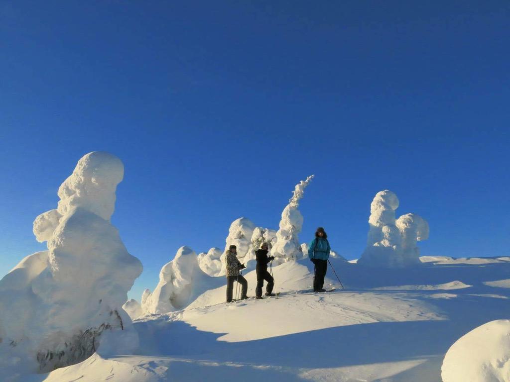 Wilderness Hotel Papin Talo Ruka Bagian luar foto